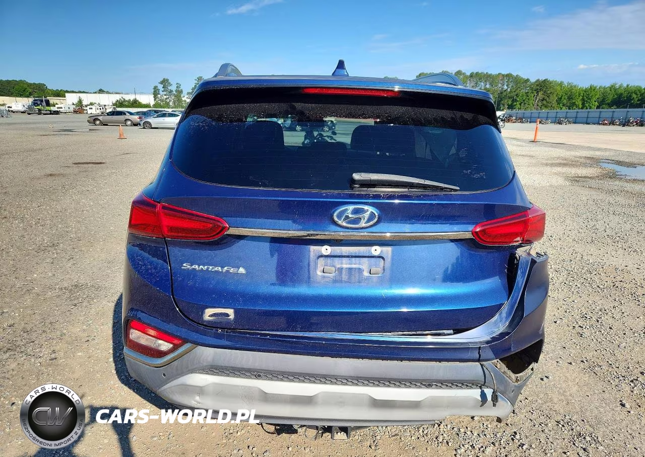 2020 Hyundai Santa Fe Limited VIN:5NMS53ADXLH226645 - 6