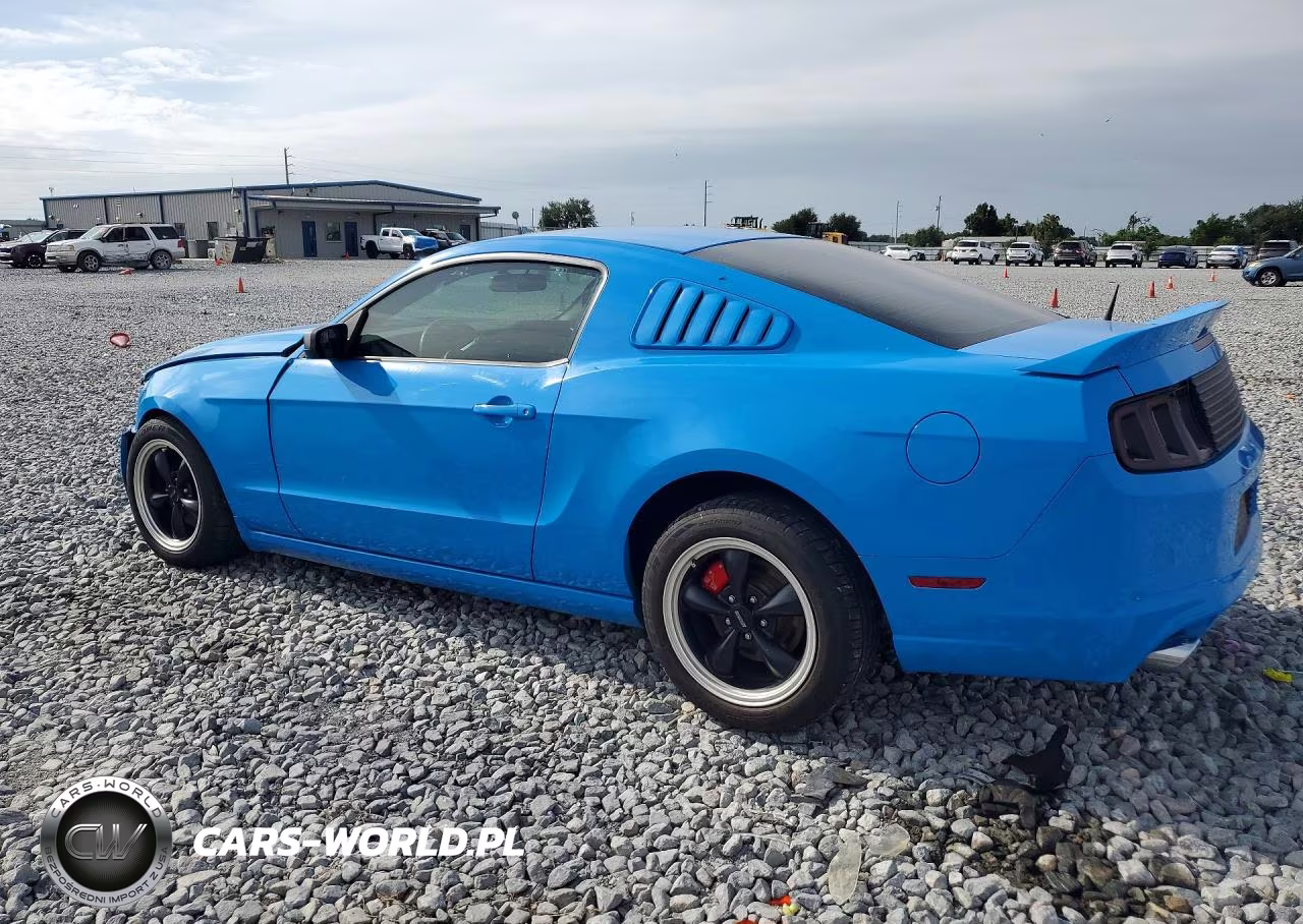 2014 Ford Mustang VIN:1ZVBP8AM0E5240841 - 2