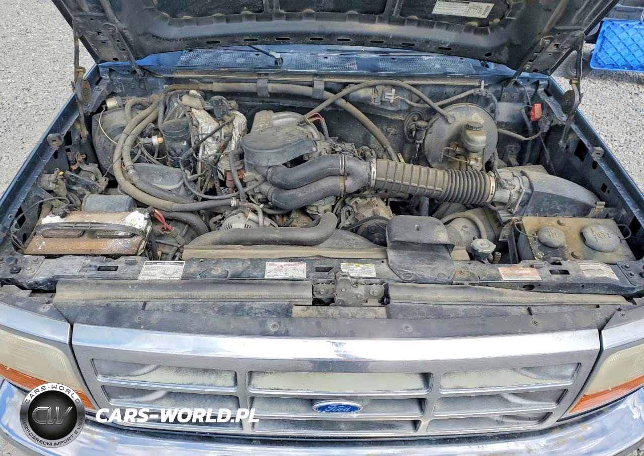 1996 Ford Bronco U100 VIN:1FMEU15N7TLB95940 - 12