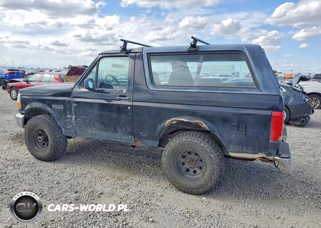 1996 Ford Bronco U100 VIN:1FMEU15N7TLB95940 - 2