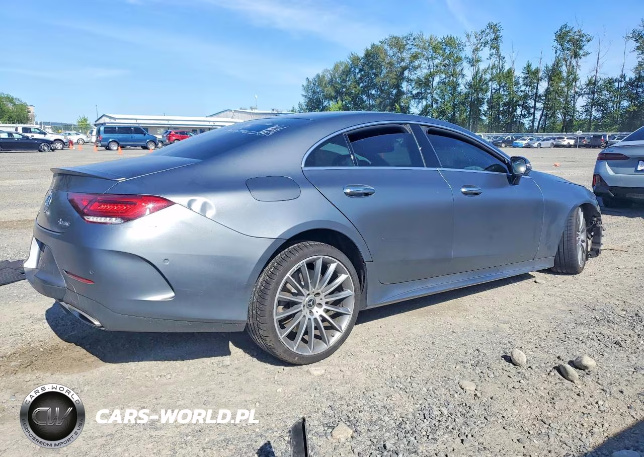 2019 Mercedes-Benz Cls 450 4Matic VIN:WDD2J5KBXKA030191 - 3