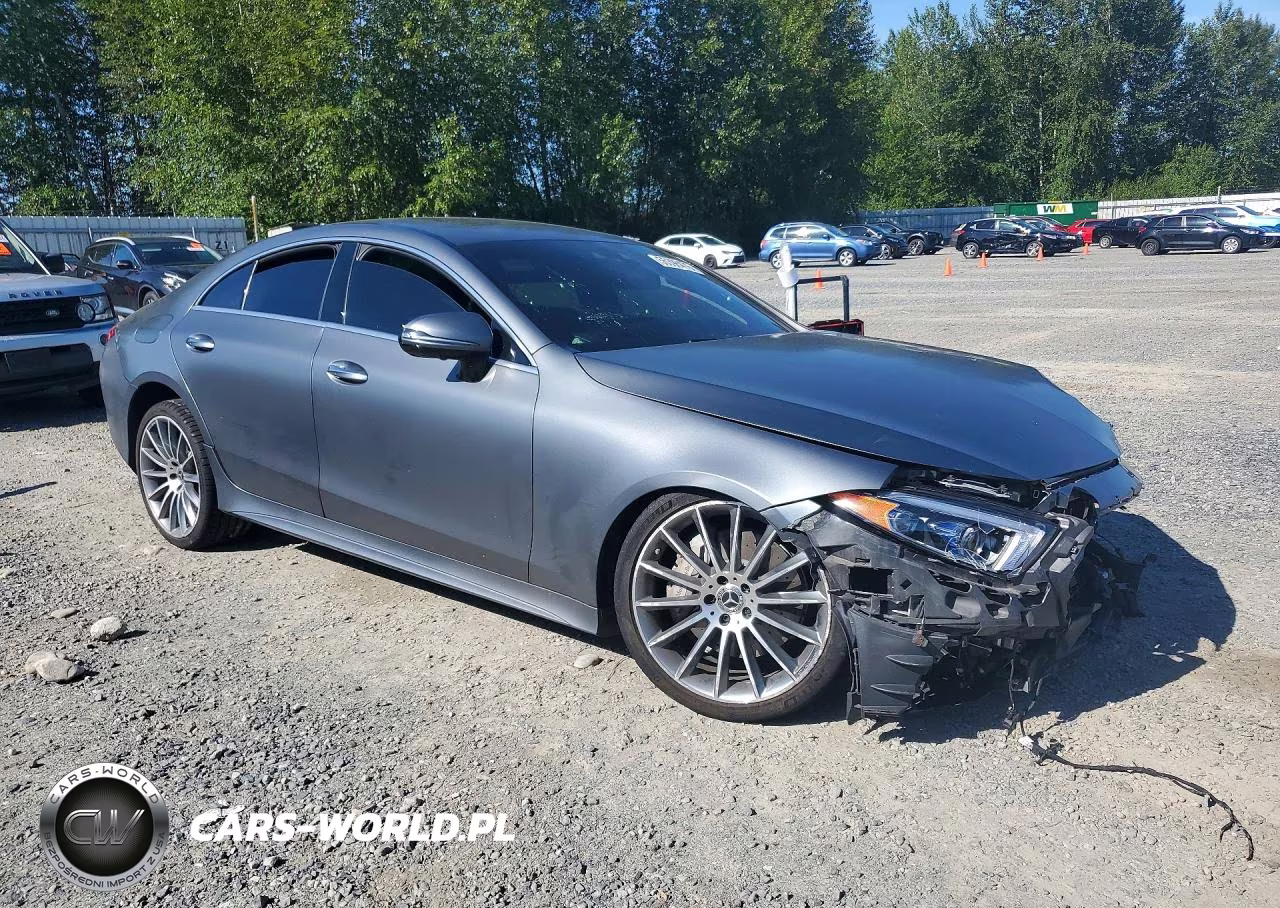 2019 Mercedes-Benz Cls 450 4Matic VIN:WDD2J5KBXKA030191 - 4