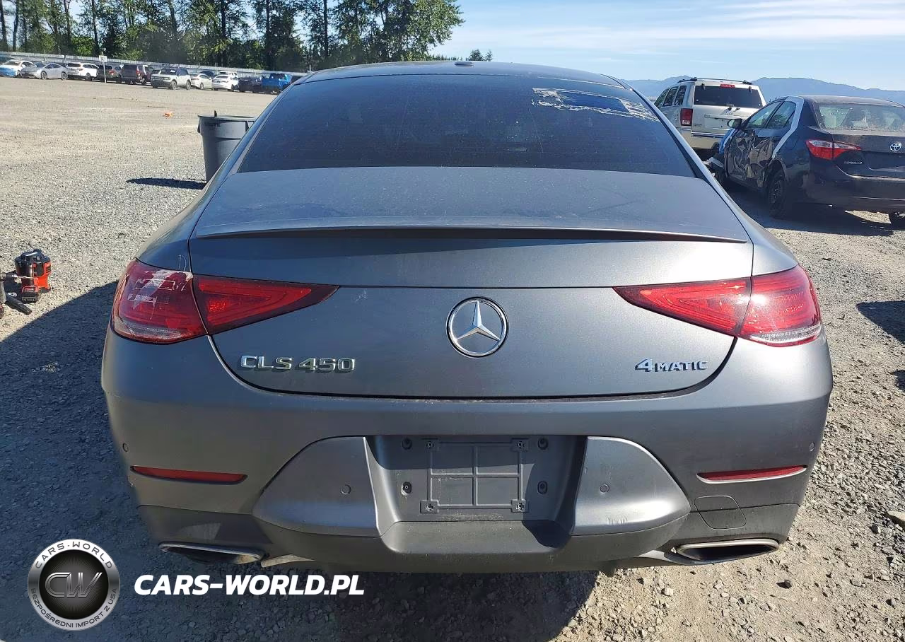 2019 Mercedes-Benz Cls 450 4Matic VIN:WDD2J5KBXKA030191 - 6