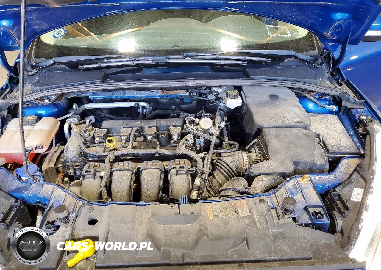 2018 Ford Focus Se VIN:1FADP3K21JL298061 - 11