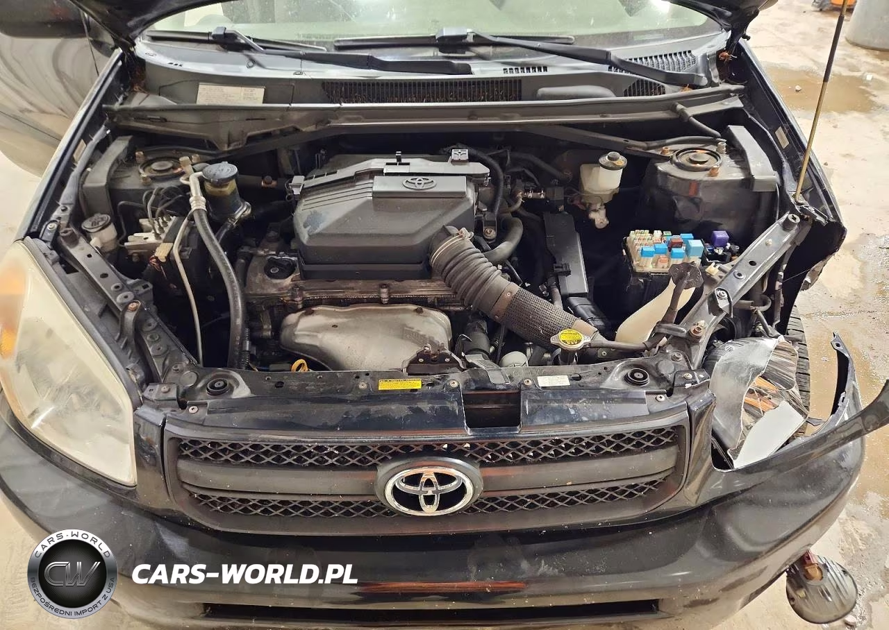 2004 Toyota Rav4 Base VIN:JTEGD20V840029189 - 12