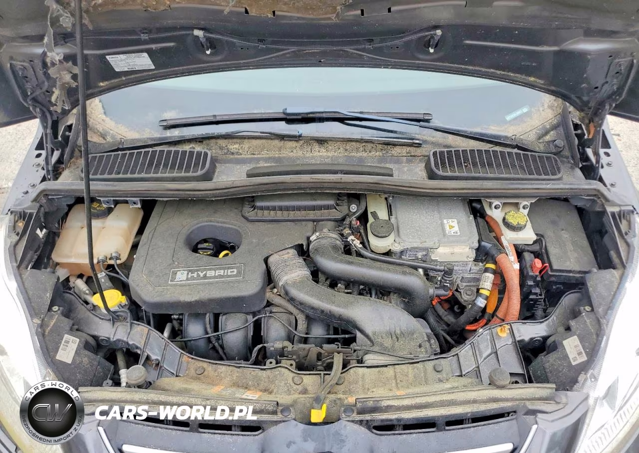 2017 Ford C-Max Titanium VIN:1FADP5DU5HL103423 - 11