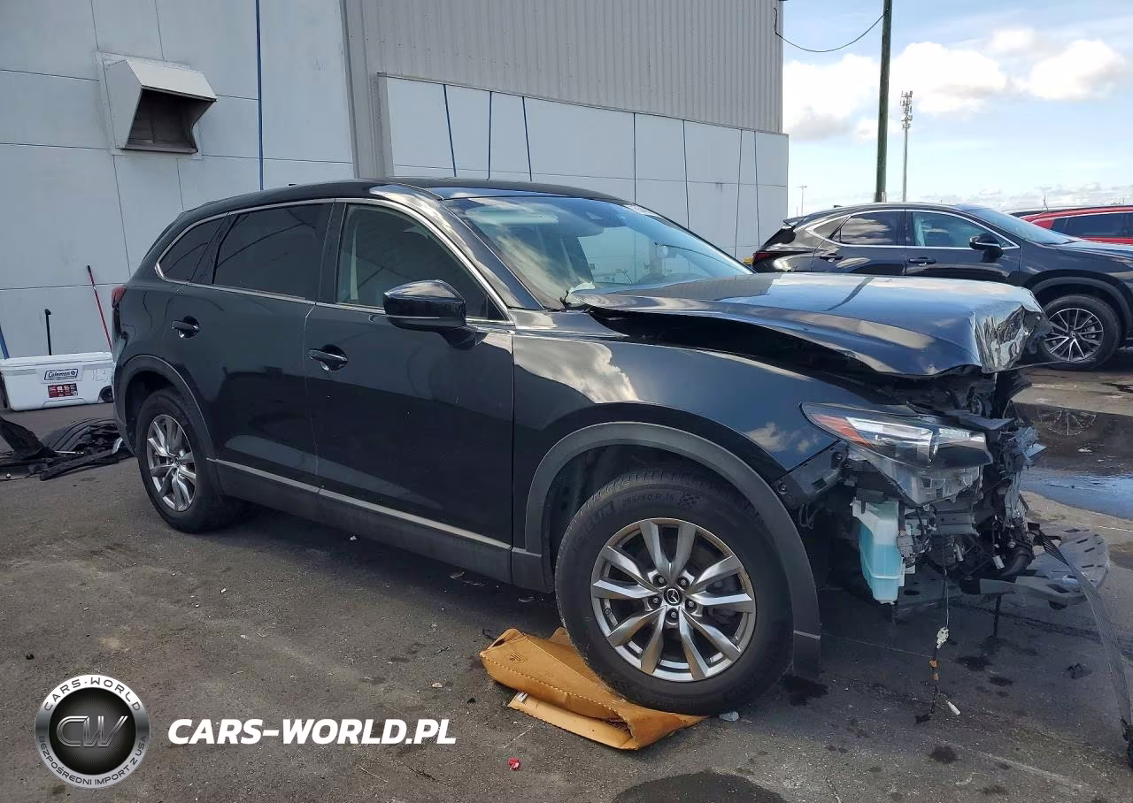 2019 Mazda Cx-9 Touring VIN:JM3TCBCY2K0303728 - 4