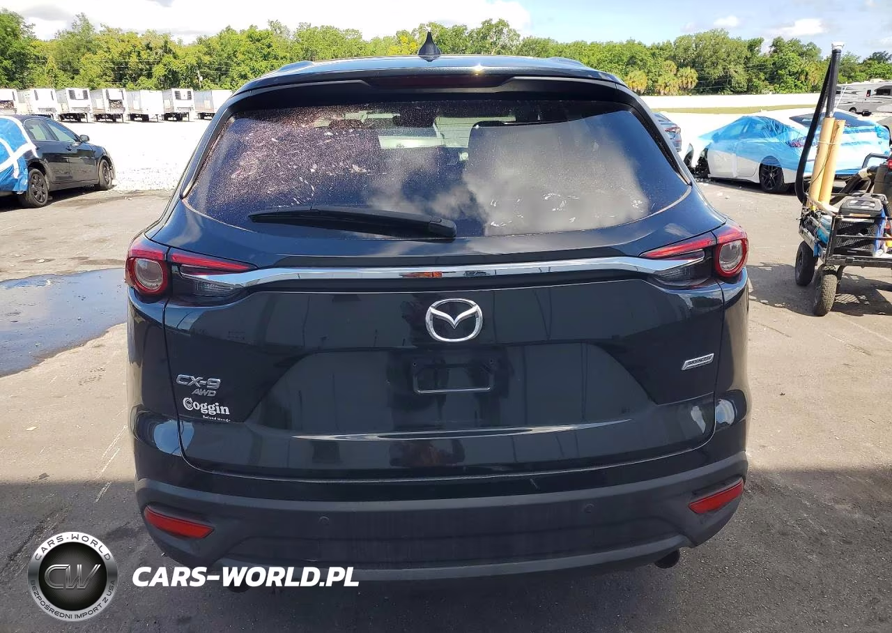 2019 Mazda Cx-9 Touring VIN:JM3TCBCY2K0303728 - 6