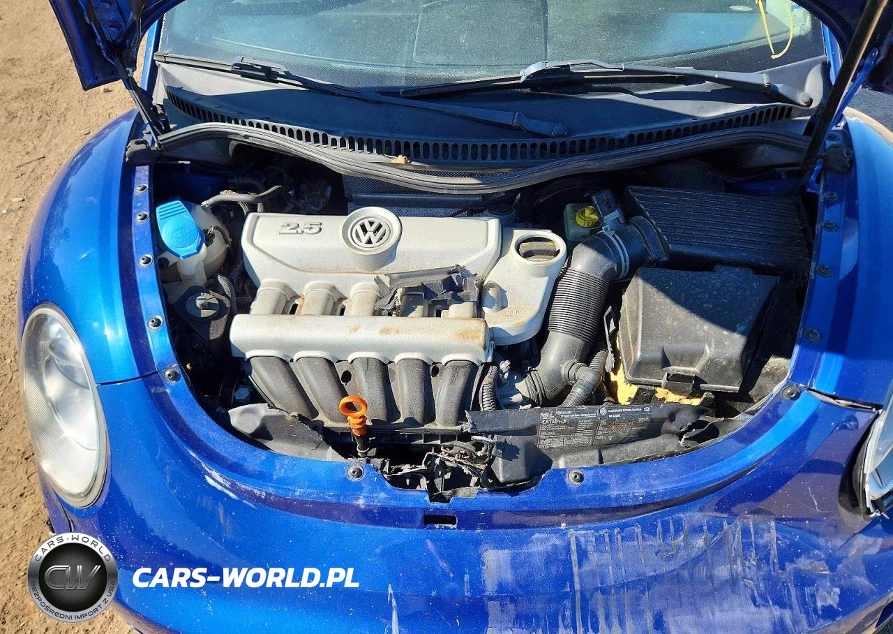 2007 Volkswagen New Beetle 2.5L VIN:3VWPW31C47M512291 - 11