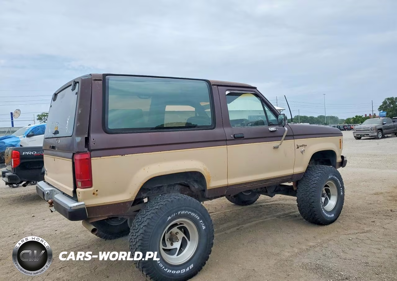 1986 Ford Bronco Ii VIN:1FMCU14T2GUD10385 - 3