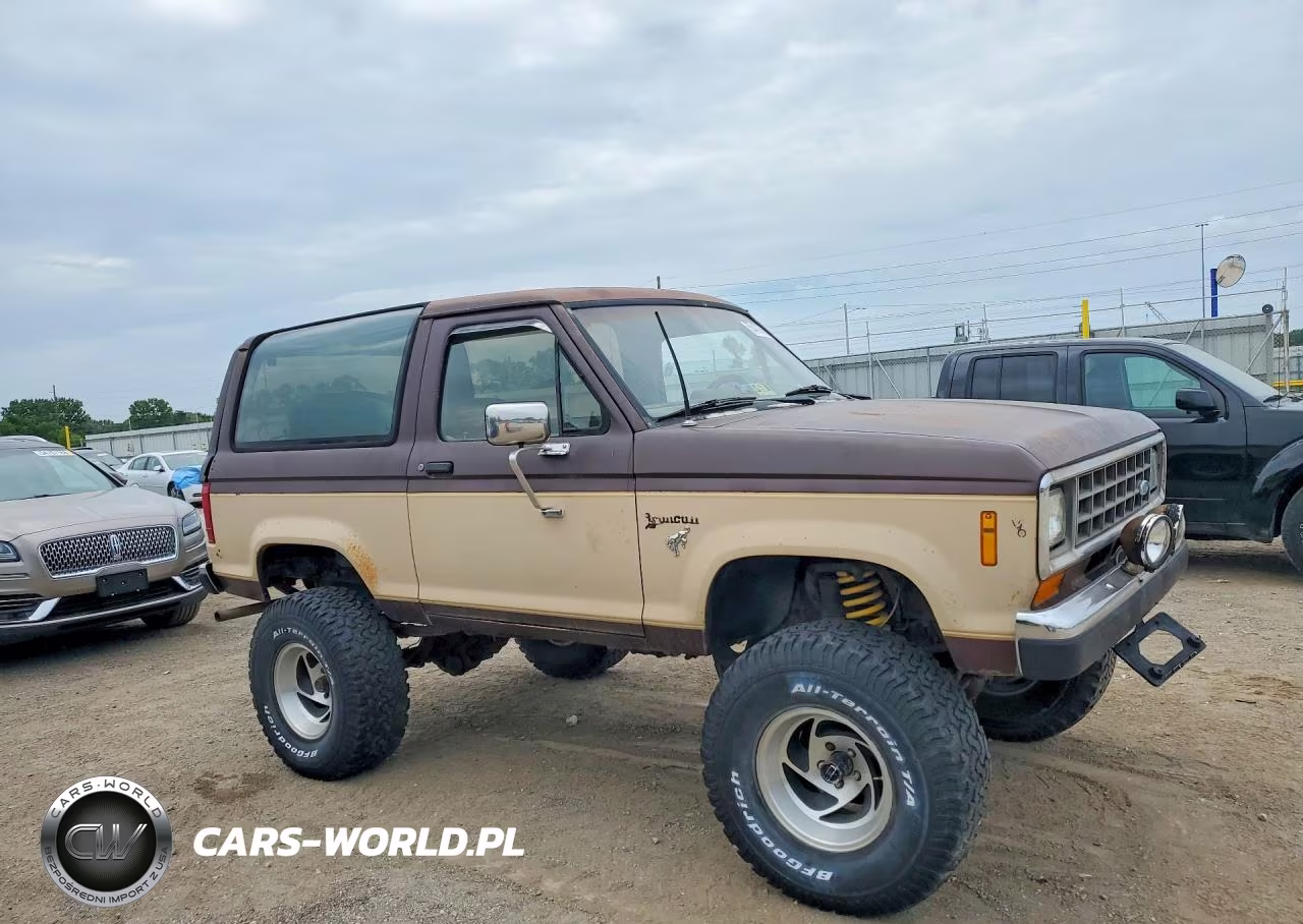 1986 Ford Bronco Ii VIN:1FMCU14T2GUD10385 - 4