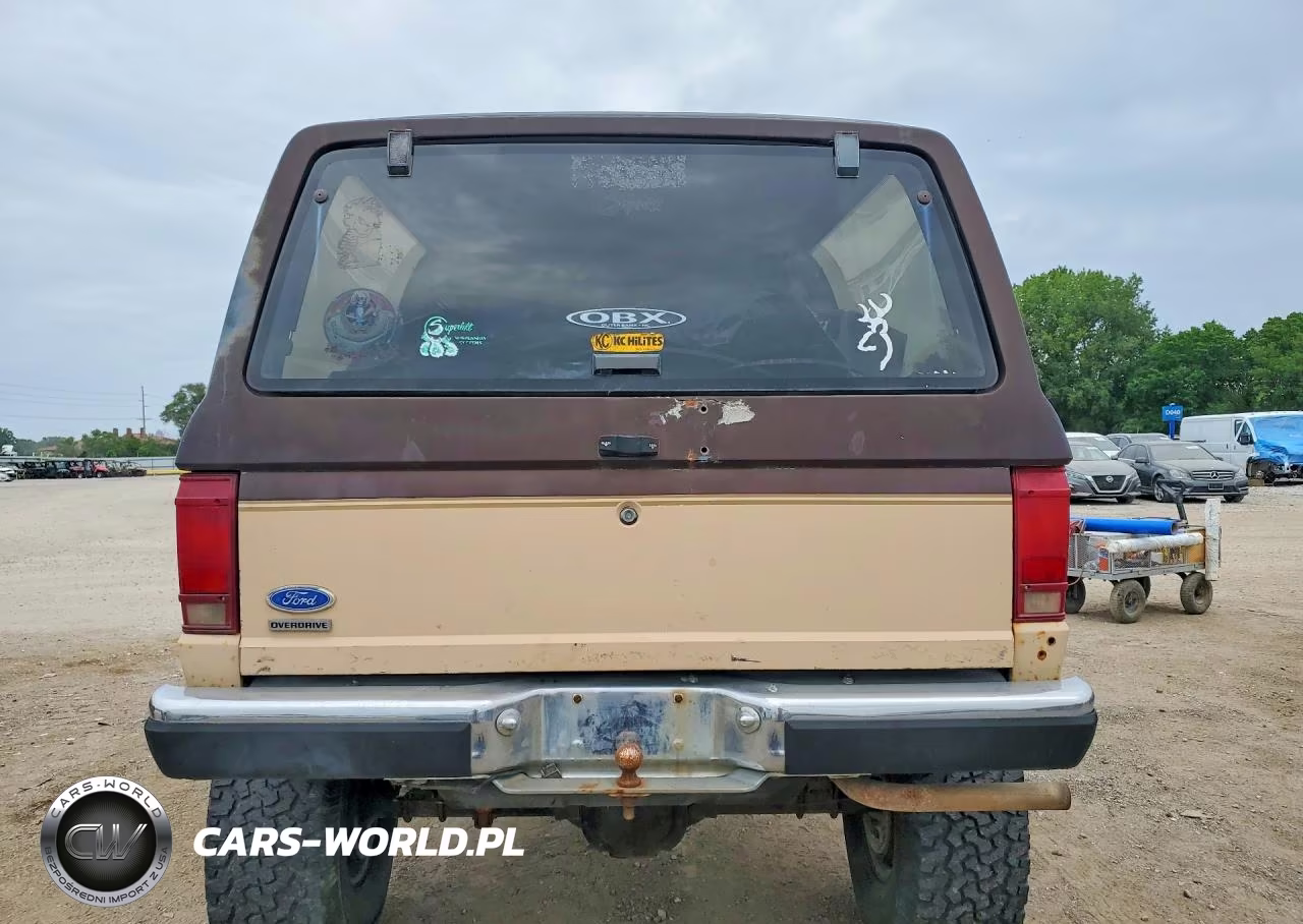1986 Ford Bronco Ii VIN:1FMCU14T2GUD10385 - 6