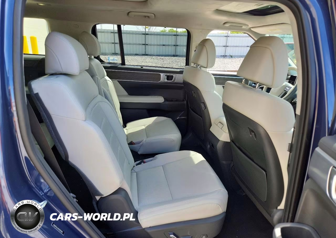 2025 Hyundai Santa Fe Calligraphy VIN:5NMP5DG18SH039444 - 11