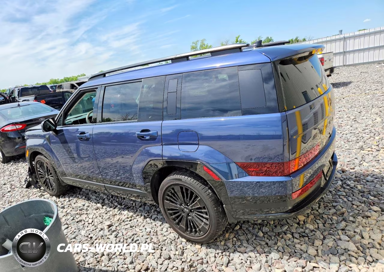 2025 Hyundai Santa Fe Calligraphy VIN:5NMP5DG18SH039444 - 2