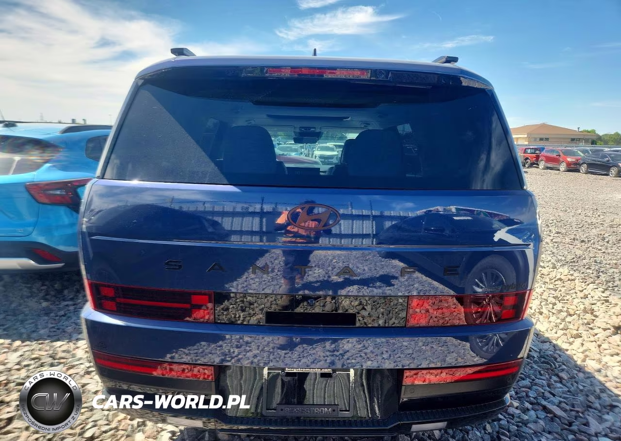 2025 Hyundai Santa Fe Calligraphy VIN:5NMP5DG18SH039444 - 6