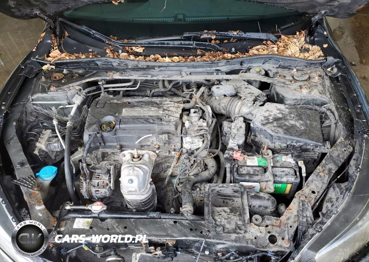 2014 Honda Accord Exl VIN:1HGCR2F82EA204670 - 11