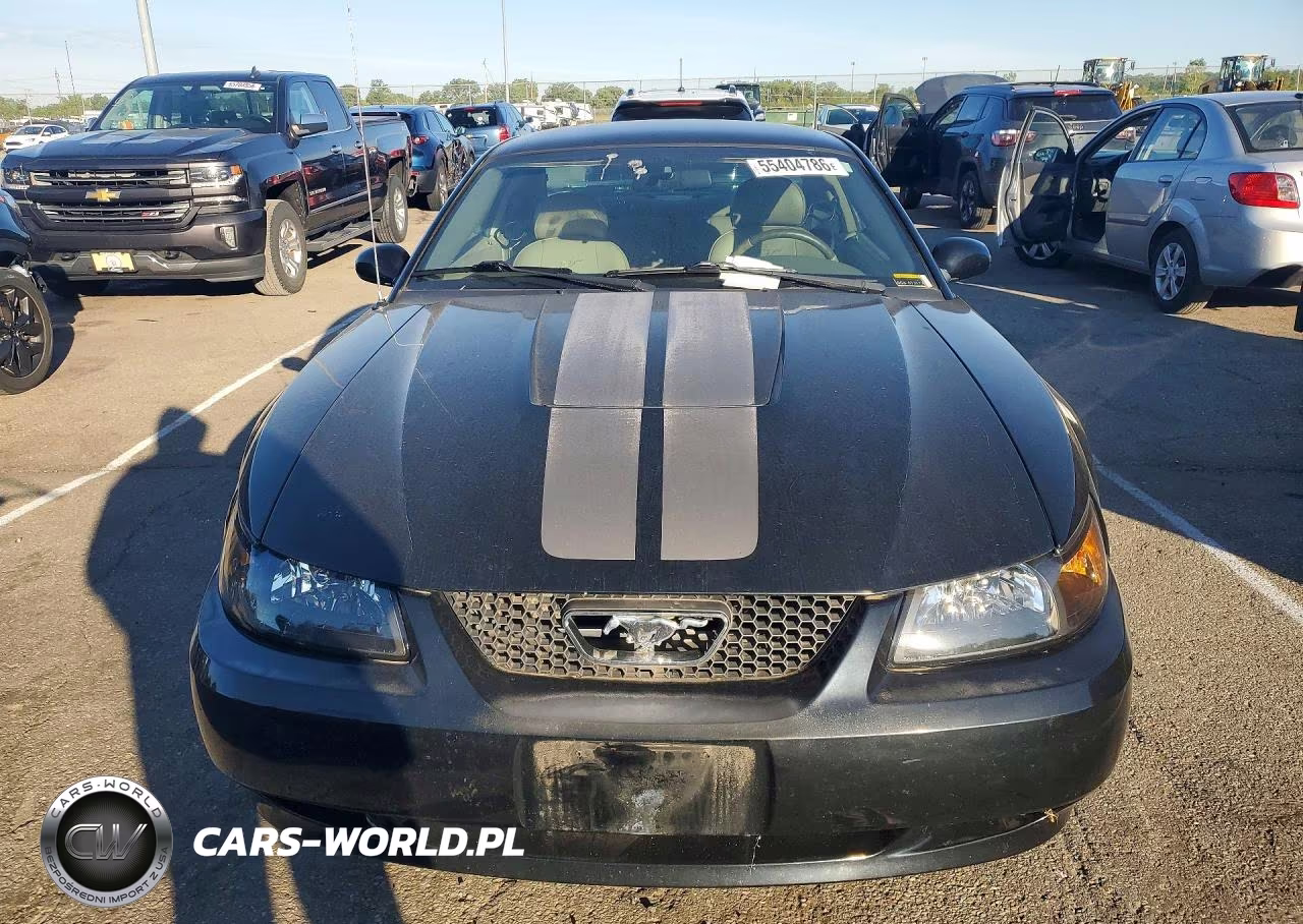2004 Ford Mustang VIN:1FAFP40494F106360 - 5