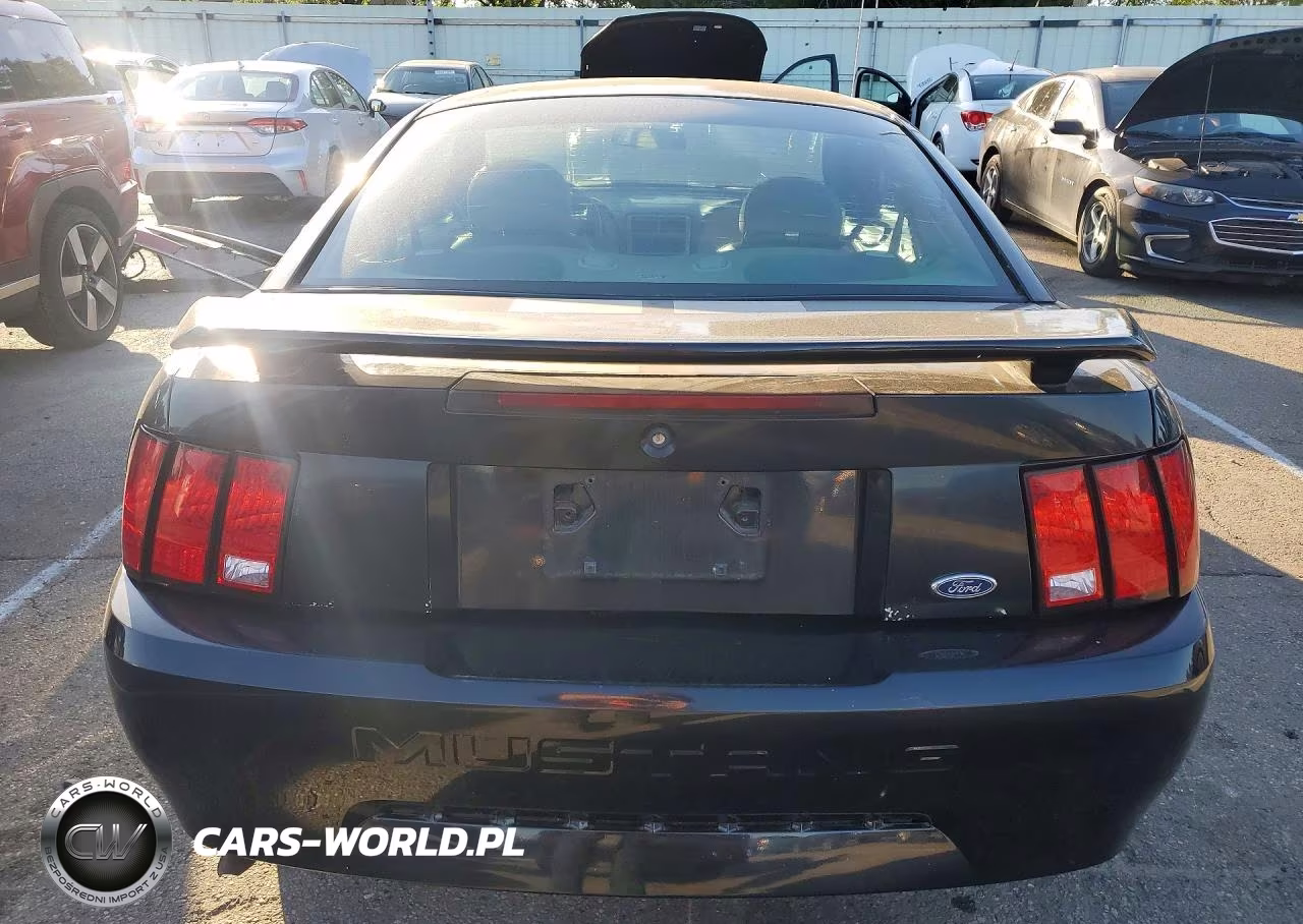 2004 Ford Mustang VIN:1FAFP40494F106360 - 6