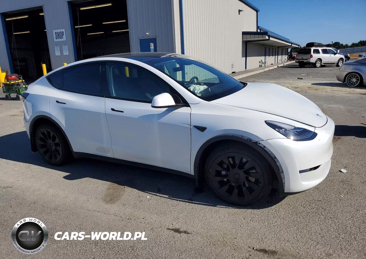 2023 Tesla Model Y VIN:7SAYGDEE0PF584912 - 4