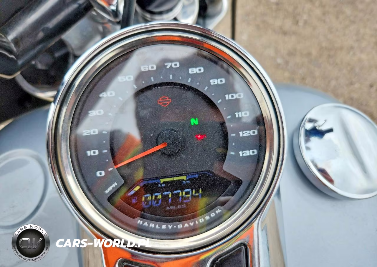 2019 Harley-Davidson Flsb VIN:1HD1YMJ29KB025506 - 7