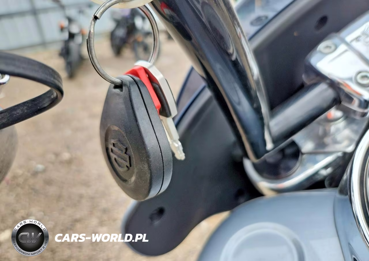 2019 Harley-Davidson Flsb VIN:1HD1YMJ29KB025506 - 8