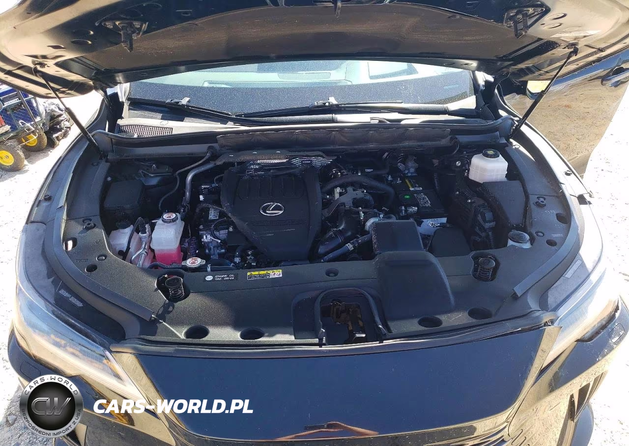 2023 Lexus Rx 350 Premium+ VIN:2T2BAMBA2PC001584 - 12