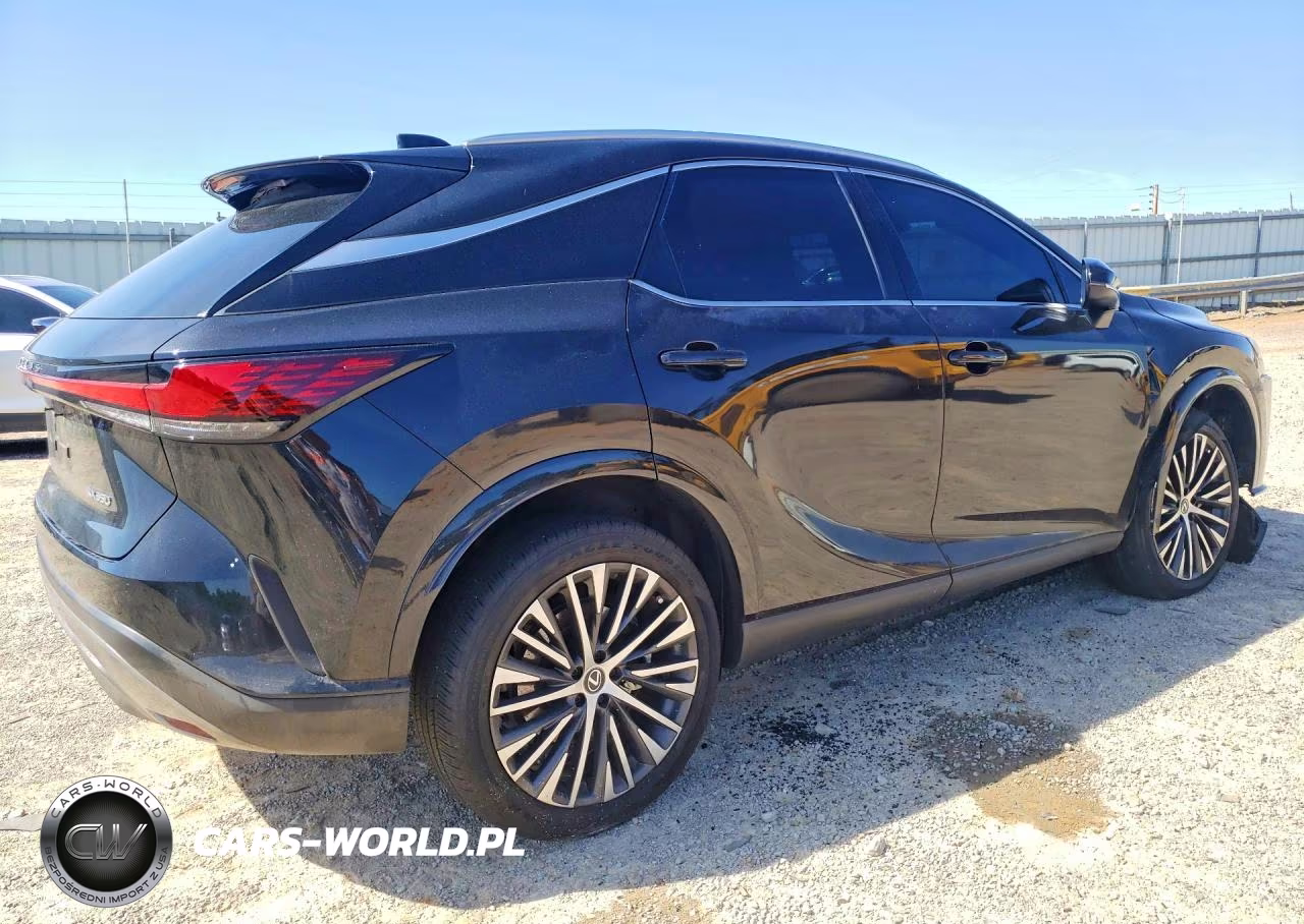 2023 Lexus Rx 350 Premium+ VIN:2T2BAMBA2PC001584 - 3