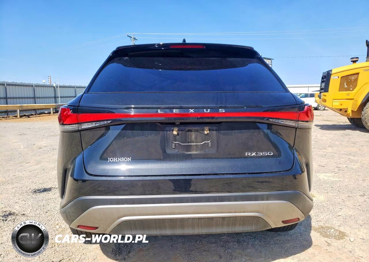 2023 Lexus Rx 350 Premium+ VIN:2T2BAMBA2PC001584 - 6