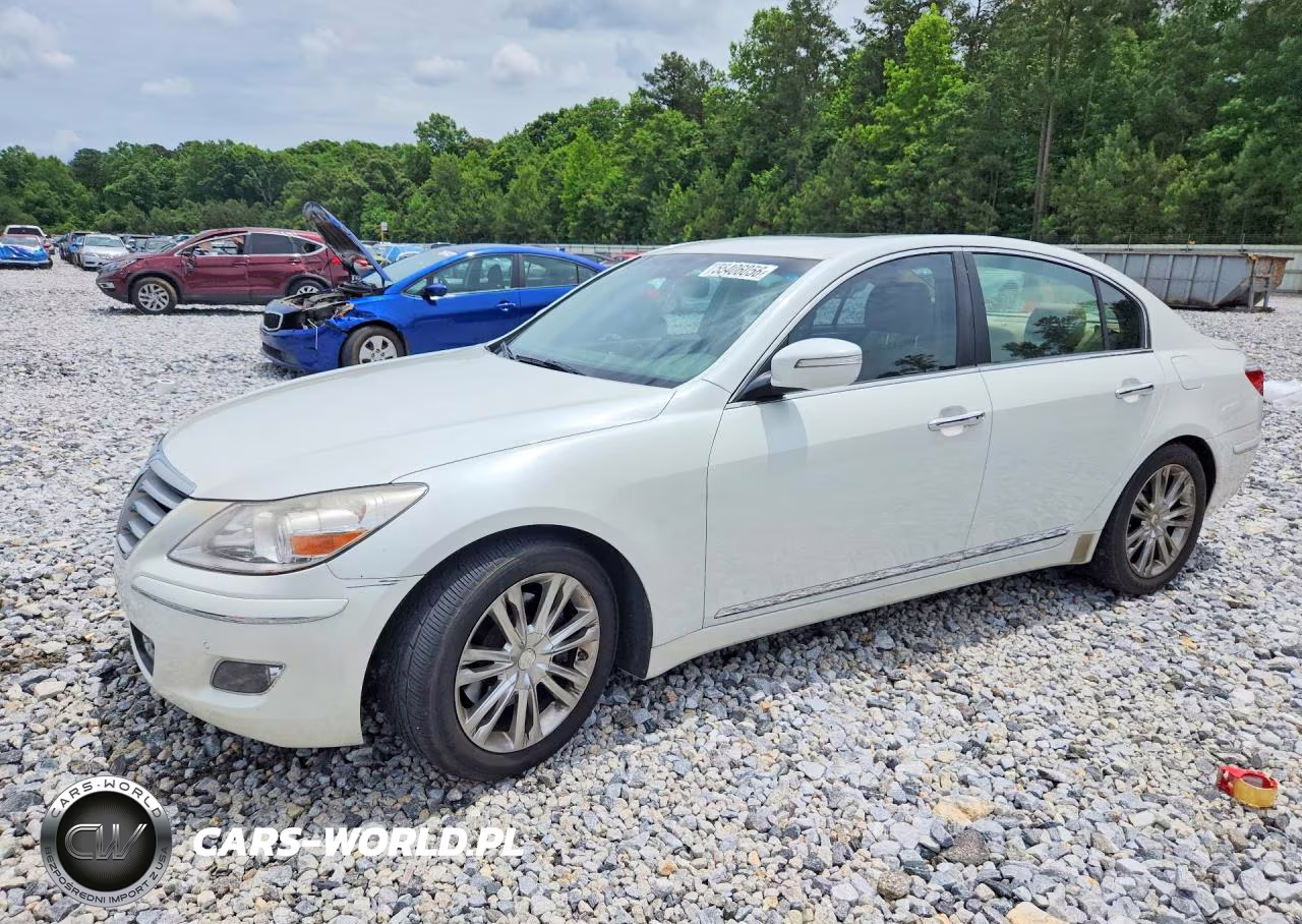2010 Hyundai Genesis 4.6L