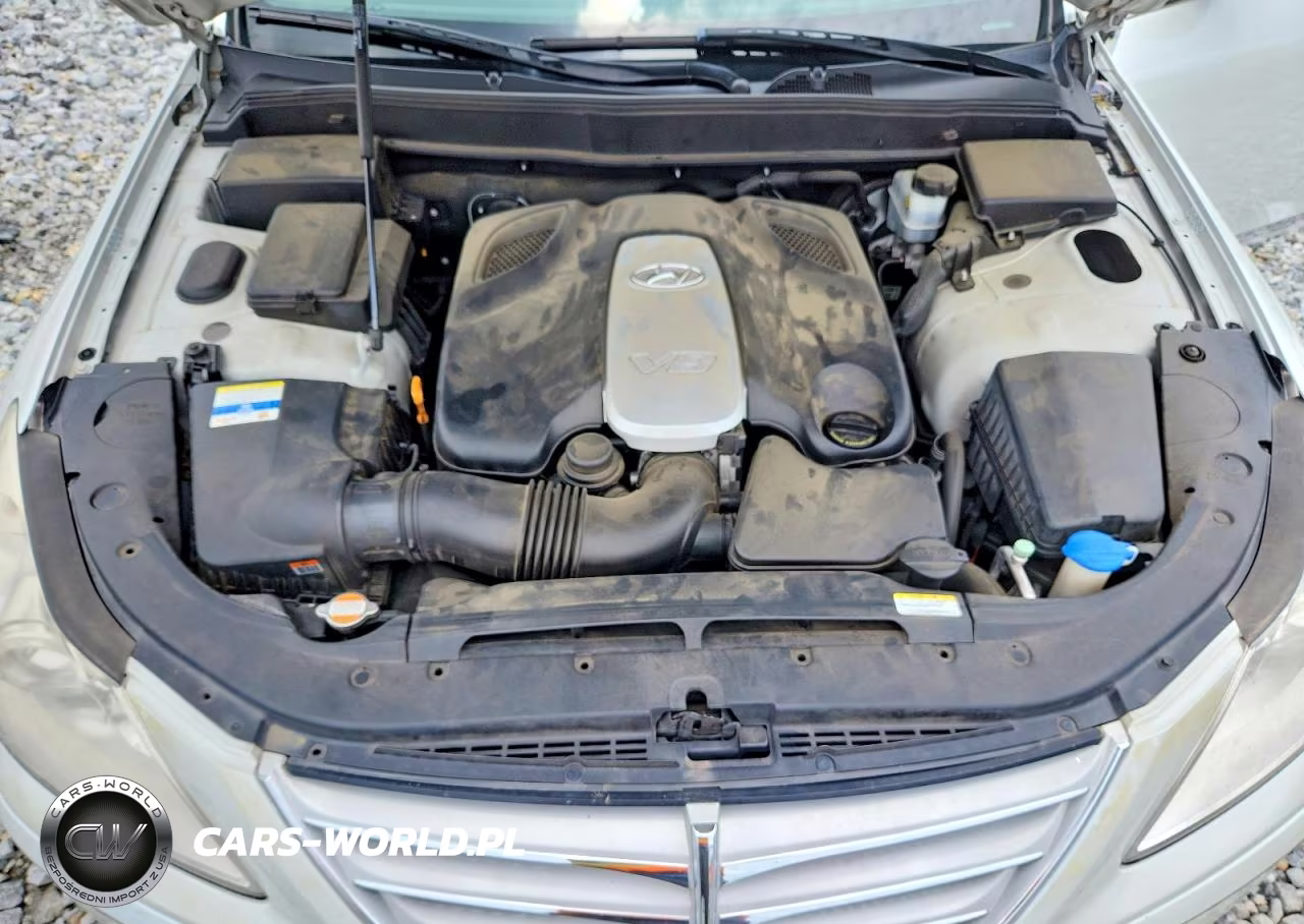 2010 Hyundai Genesis 4.6L VIN:KMHGC4DF5AU108101 - 11