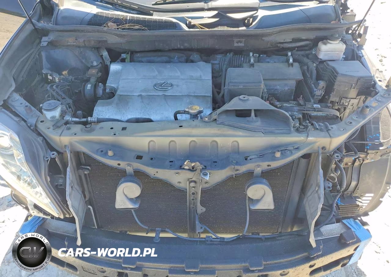 2010 Lexus Rx 350 VIN:2T2BK1BA9AC042393 - 12