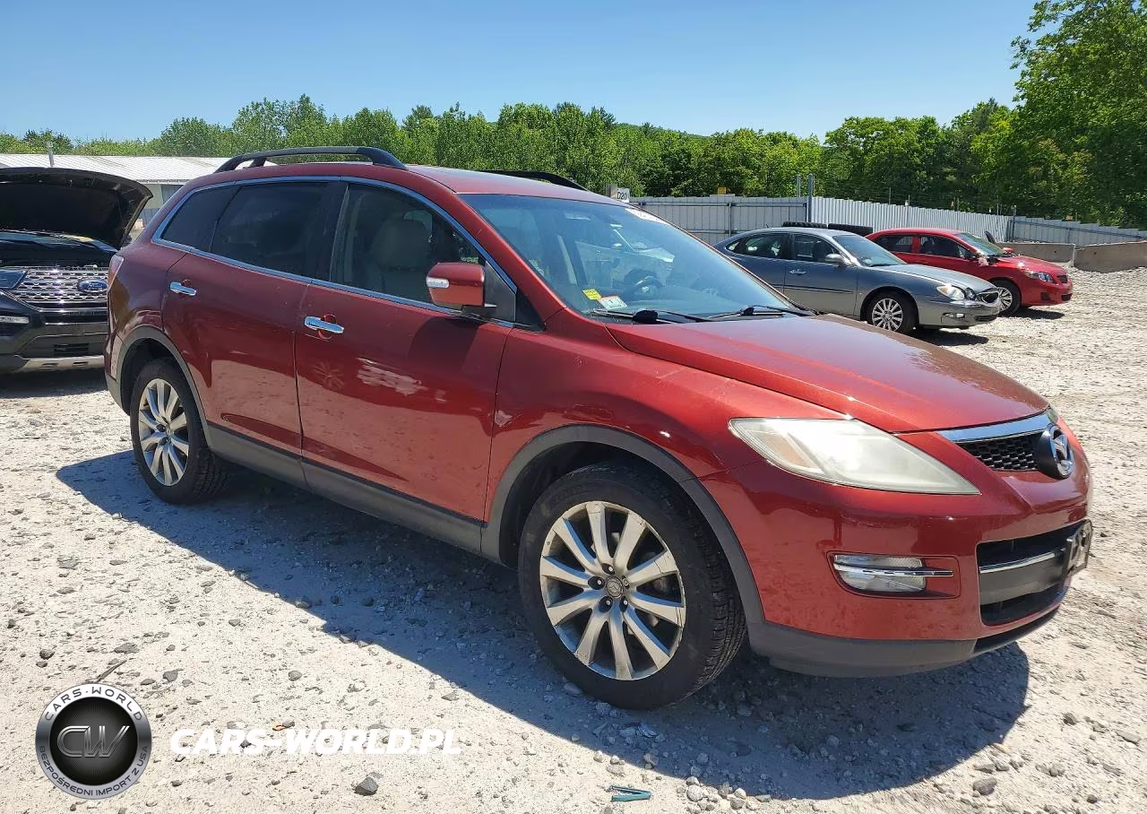 2009 Mazda Cx-9 VIN:JM3TB38V890173942 - 4