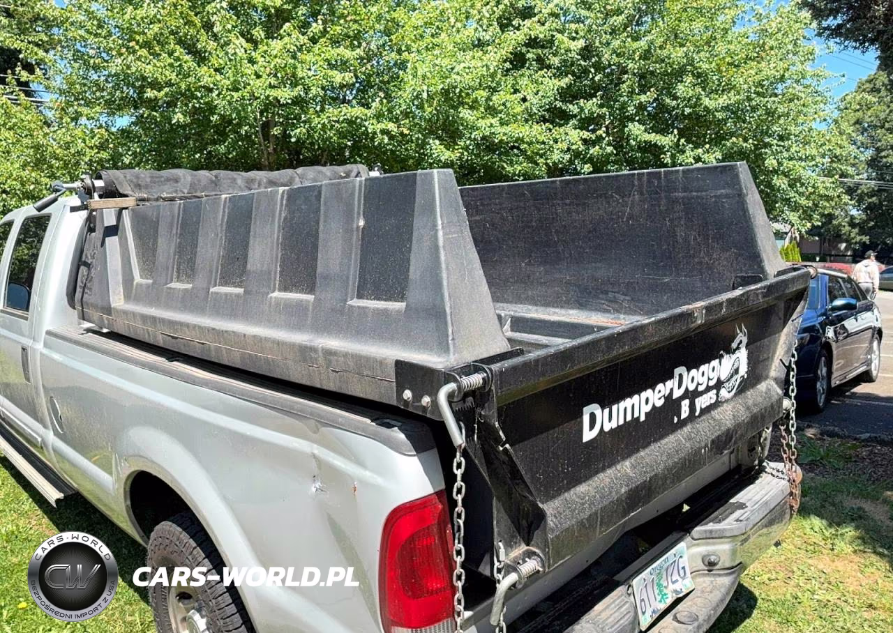 2002 Ford F350 Srw Super Duty VIN:1FTSW30F02ED56886 - 11