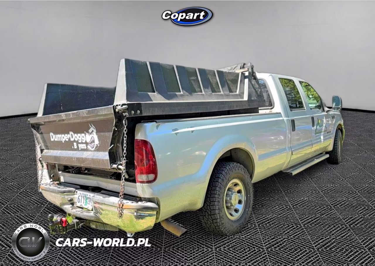 2002 Ford F350 Srw Super Duty VIN:1FTSW30F02ED56886 - 4