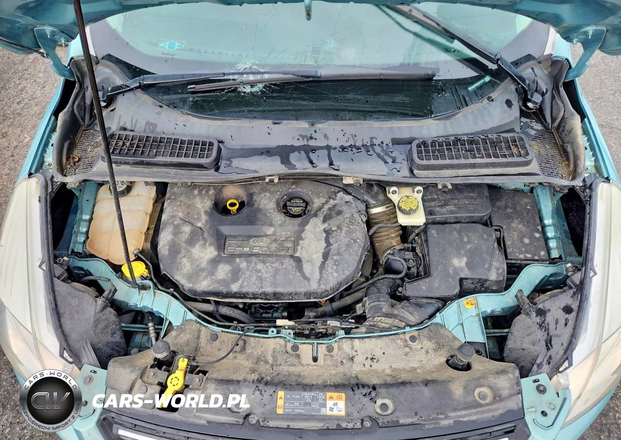 2013 Ford Escape Se VIN:1FMCU0G90DUD72244 - 11