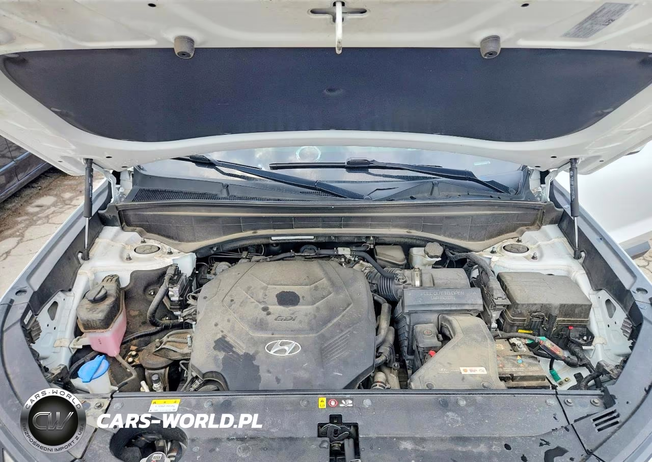 2023 Hyundai Palisade Limited VIN:KM8R5DGE4PU594964 - 12
