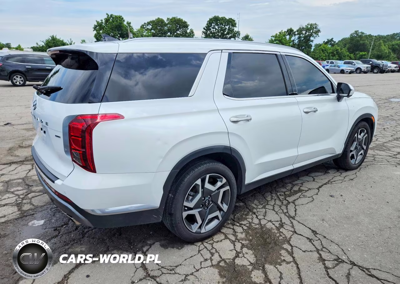 2023 Hyundai Palisade Limited VIN:KM8R5DGE4PU594964 - 3