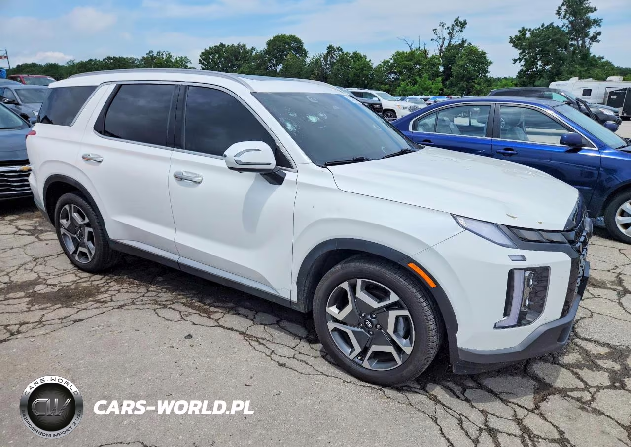 2023 Hyundai Palisade Limited VIN:KM8R5DGE4PU594964 - 4