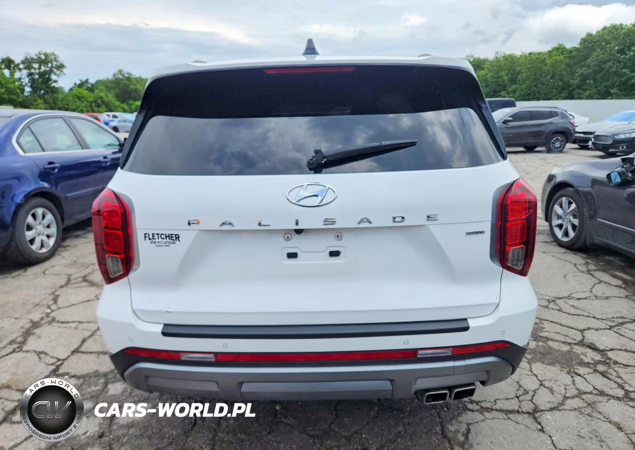 2023 Hyundai Palisade Limited VIN:KM8R5DGE4PU594964 - 6
