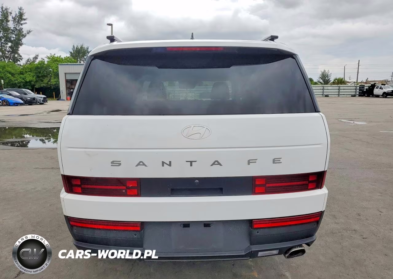 2025 Hyundai Santa Fe Sel VIN:5NMP24GL4SH090532 - 6