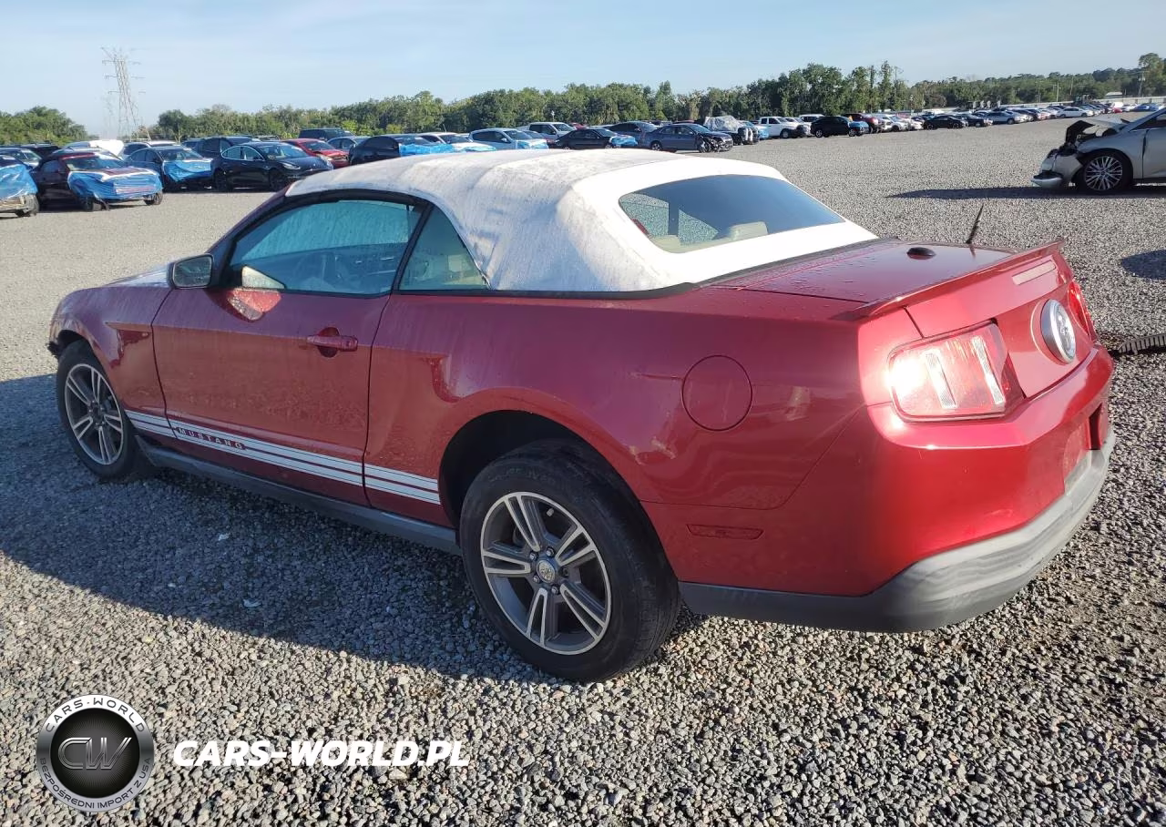 2010 Ford Mustang VIN:1ZVBP8EN0A5162428 - 2