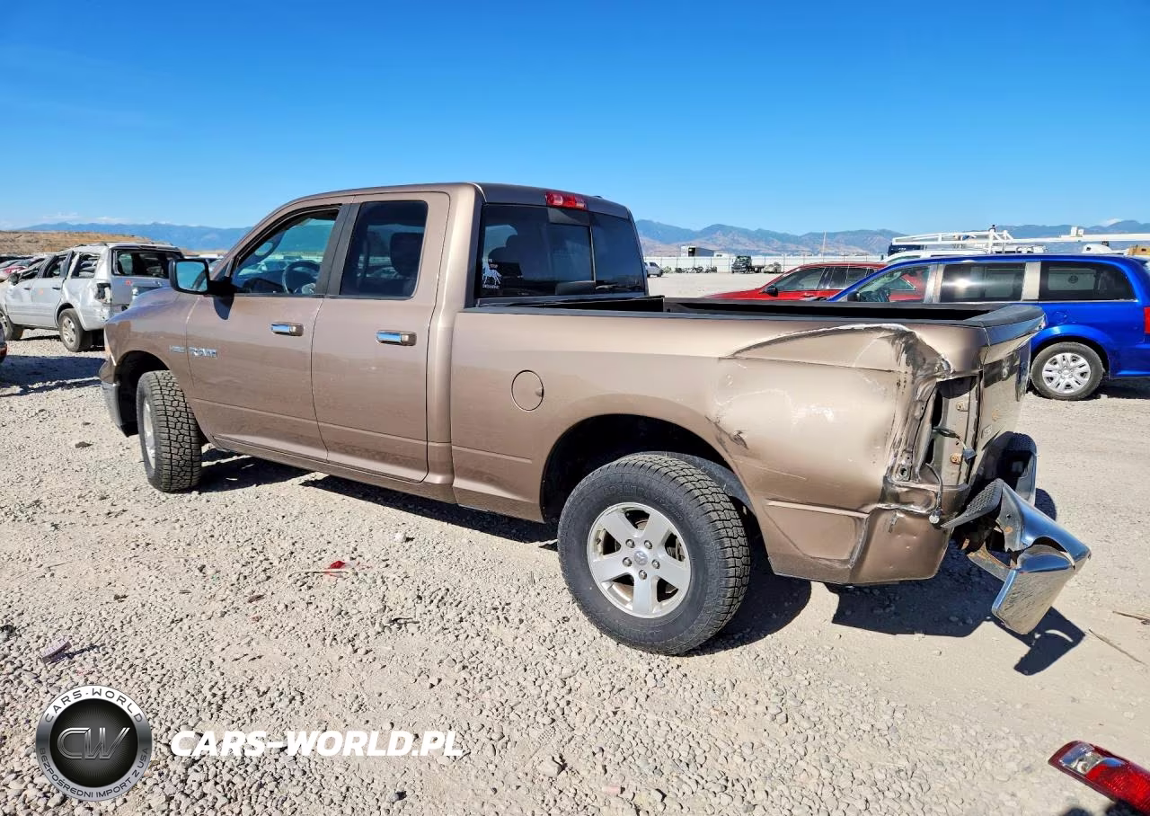 2009 Dodge Ram 1500 VIN:1D3HV18T09S809306 - 2