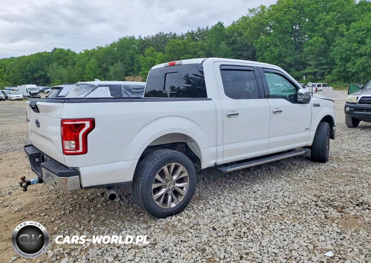 2016 Ford F150 Supercrew VIN:1FTEW1EG6GFB73867 - 3