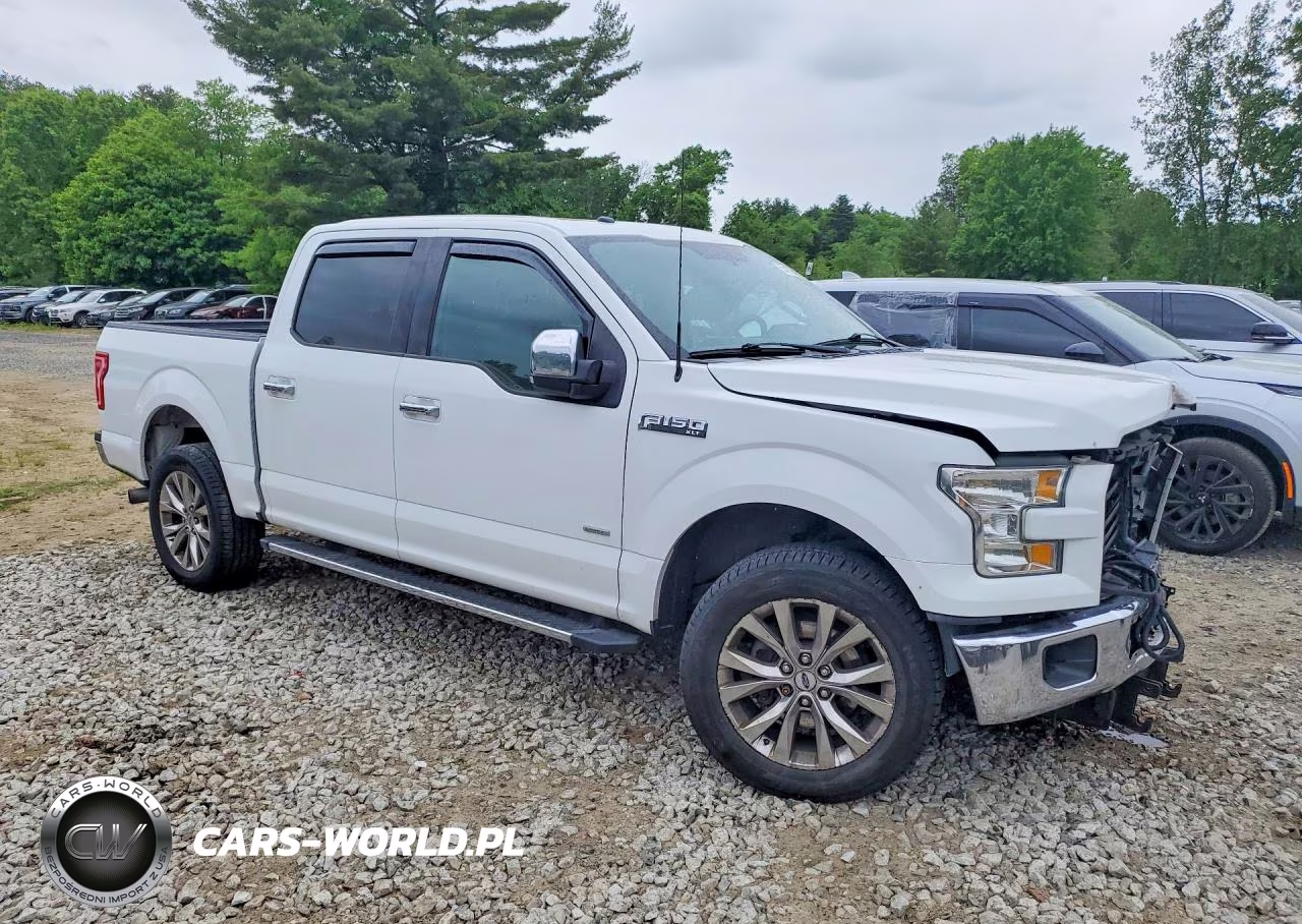 2016 Ford F150 Supercrew VIN:1FTEW1EG6GFB73867 - 4