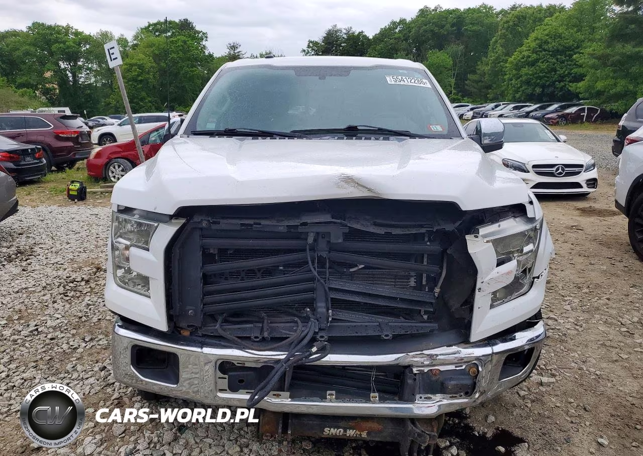 2016 Ford F150 Supercrew VIN:1FTEW1EG6GFB73867 - 5