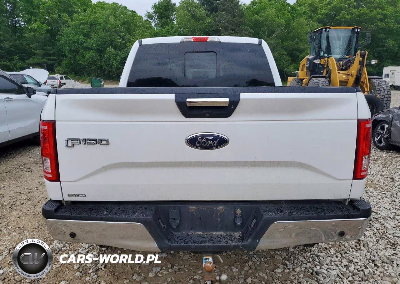 2016 Ford F150 Supercrew VIN:1FTEW1EG6GFB73867 - 6
