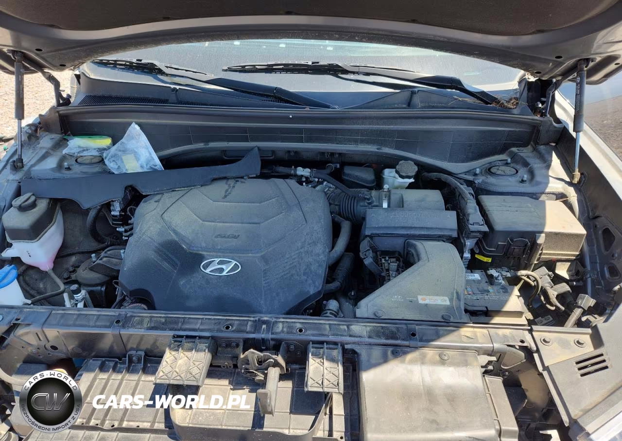 2021 Hyundai Palisade Sel VIN:KM8R24HE1MU230598 - 12