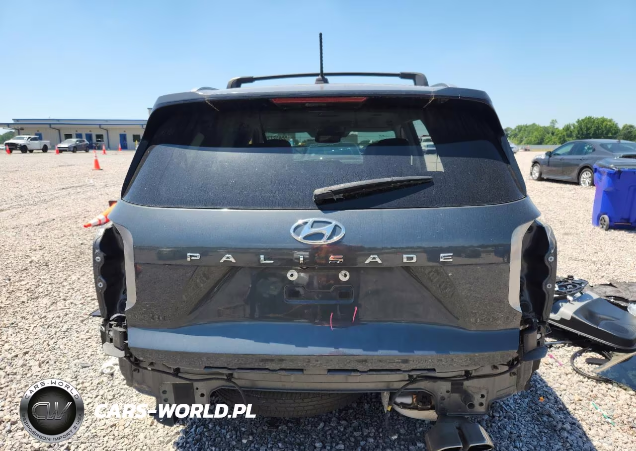 2021 Hyundai Palisade Sel VIN:KM8R24HE1MU230598 - 6
