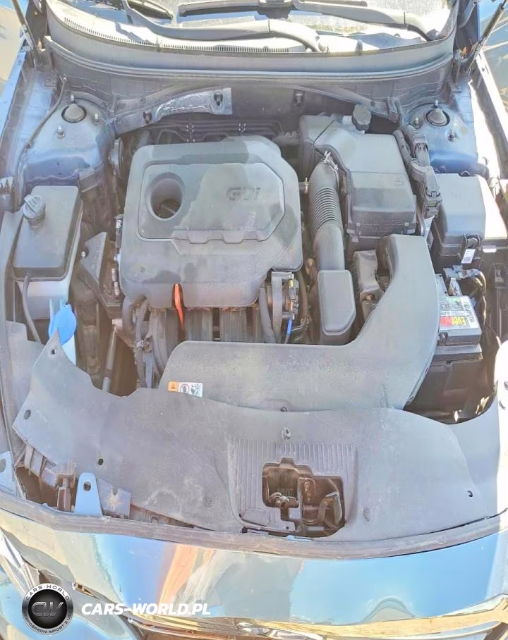 2016 Hyundai Sonata Se VIN:5NPE24AF1GH393076 - 11