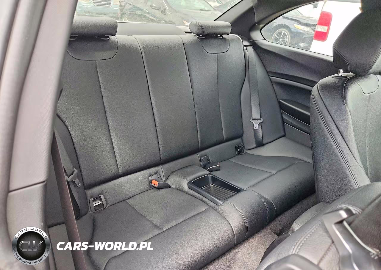 2016 BMW 228 I Sulev VIN:WBA1F9C56GV546570 - 10
